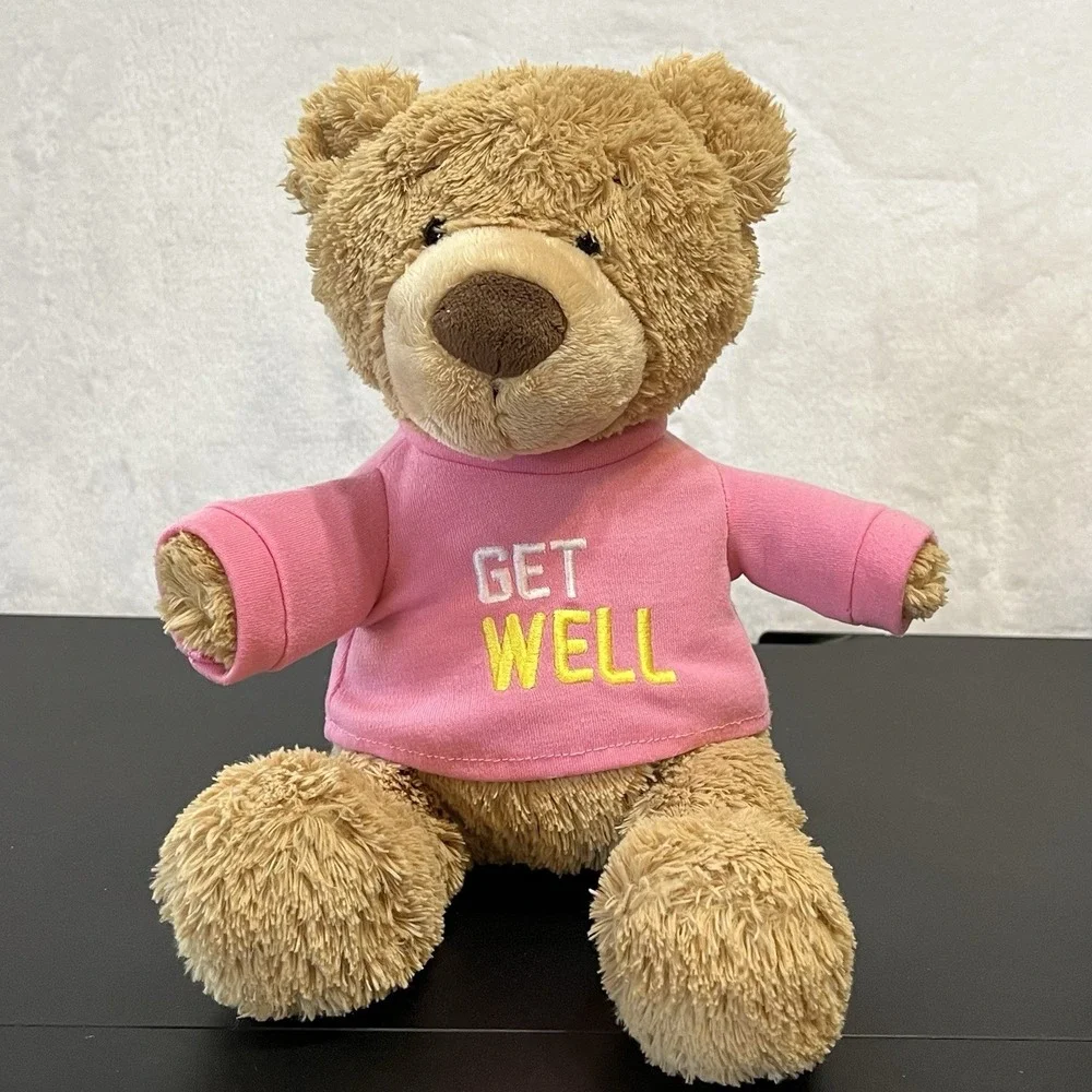 Gund Brown Teddy Bear Pink GET WELL Shirt Gift